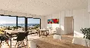 interior 1 web.webp